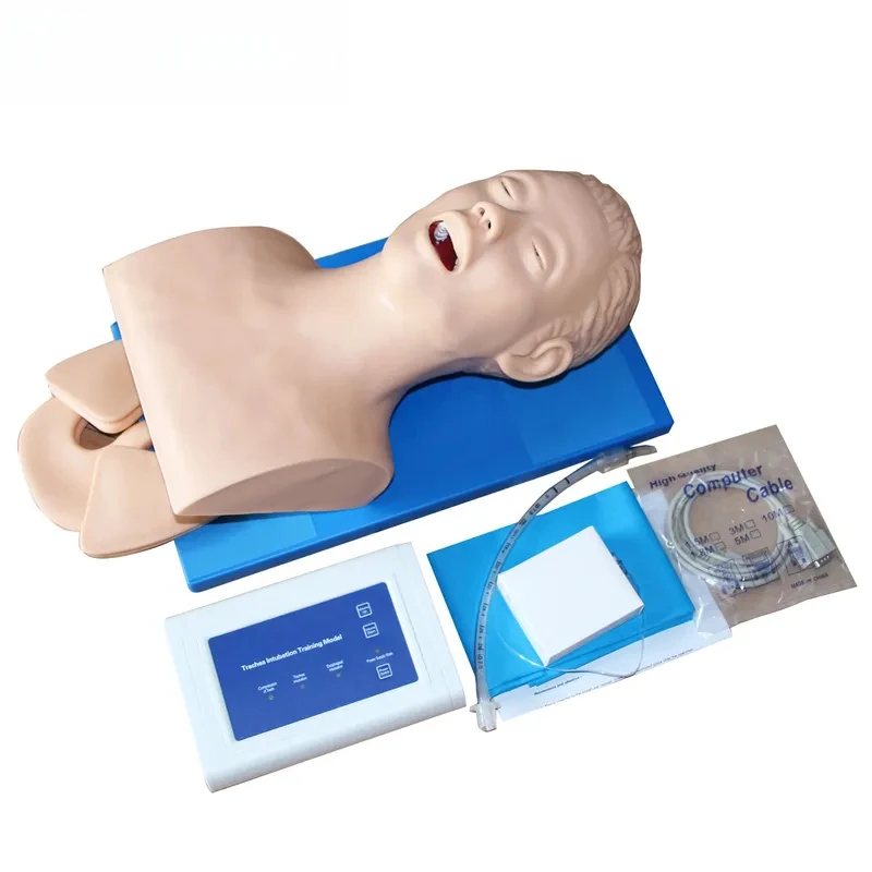 Intubation Manikin Study Teaching Model Airway Management Trainer PVC With Teeth 110-220V