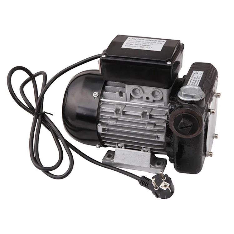 

Heavy Portable 80LPM AC110V/220V Large Flow Self Priming Electric Fuel Transfer Pump