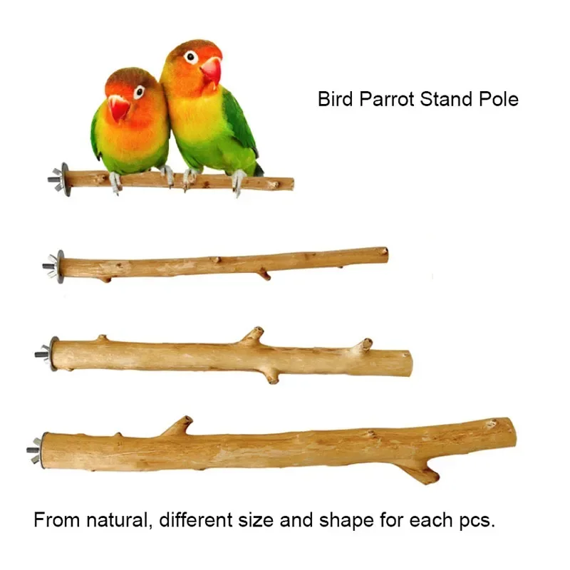 Natural Wood Pet Parrot Raw Wood Fork Tree Branch Stand Rack Squirrel Bird Hamster Branch Perches Chew Bite Toys Stick