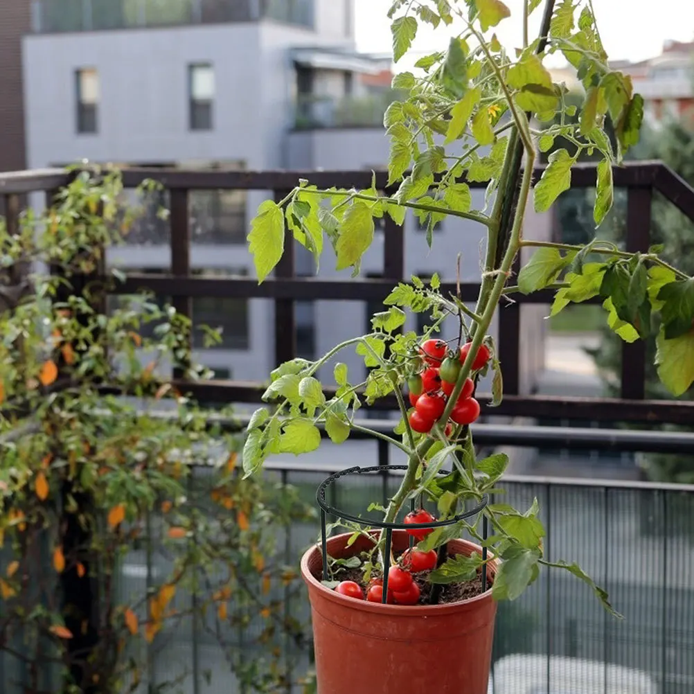 

6pcs Plant Climbing Rack Premium Garden Support Bracket For Flowerpot Outdoor Indoor Use Gardening Supplies Holder Accessory