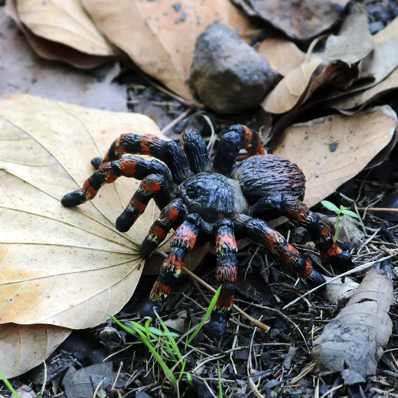 Bambini Educazione scientifica Simulazione Modello animale Giocattolo ingannevole Ornamento di insetti Scena da tavolo di sabbia Vestito di ragno di Halloween Giocattolo di plastica