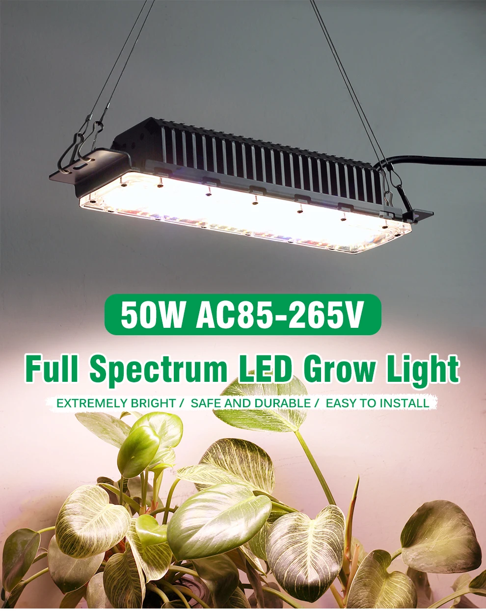 50W LM281B Vollspektrum-Quantum-Board LED-Pflanzenlampe AC110/220V mit Treiberschalter für Gewächshaus-Hydrokulturpflanzen – Detail 1