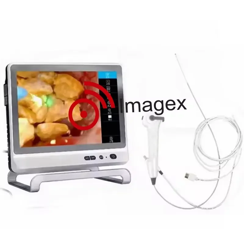 Medical System Flexible Ureteroscope Urology for Minimally Invasive Kidney Procedures