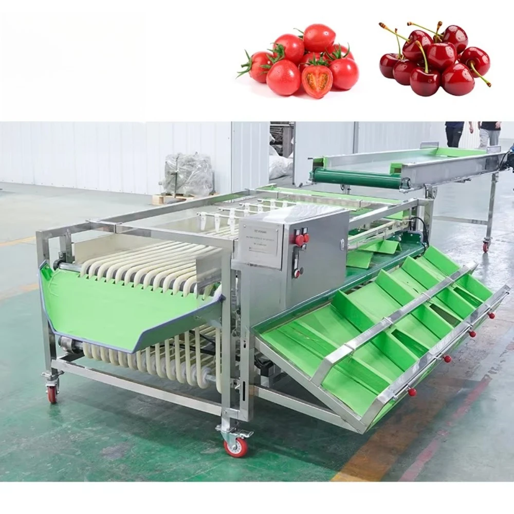 Automatic Blueberry Potato Size Fruit Weight Grading Fruit Sorting Machine