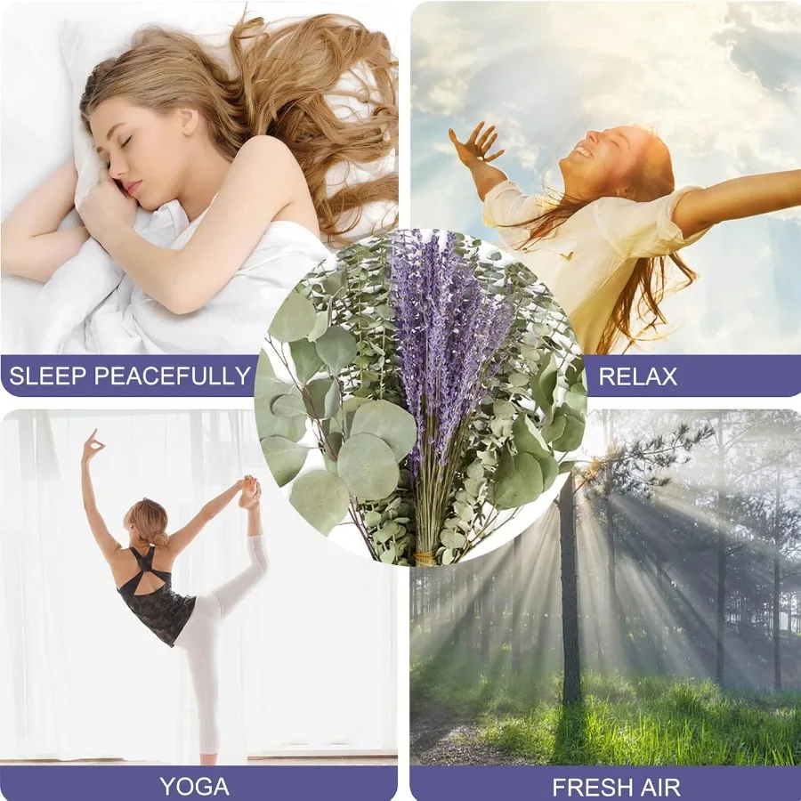 ก้านยูคาลิปตัสแห้งผสมดอกลาเวนเดอร์สำหรับอาบน้ำ 120 ชิ้น ขนาด 17 นิ้ว ใบเงินแท้ขนาดใหญ่ กิ่งไม้สดแขวนตกแต่ง