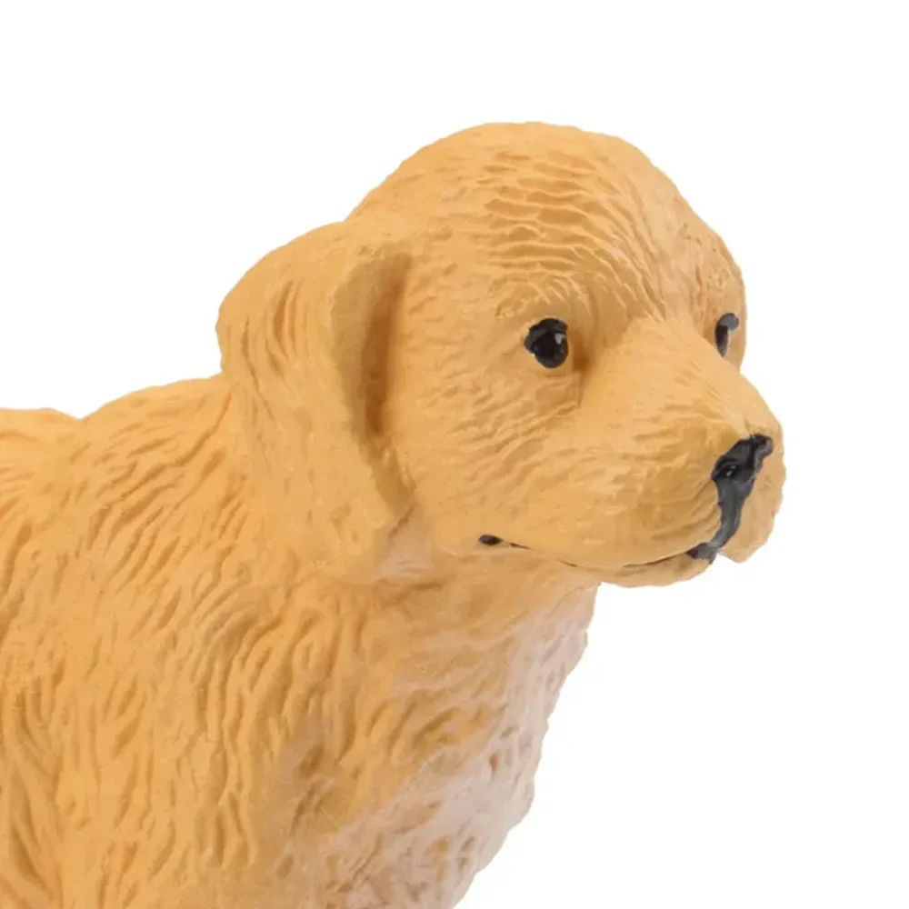 Toymany Simulation Golden Retriever Puppy Pet Animal Model Toy Mini Figures Dolls Action Dog  Figurines Toys Children Gift