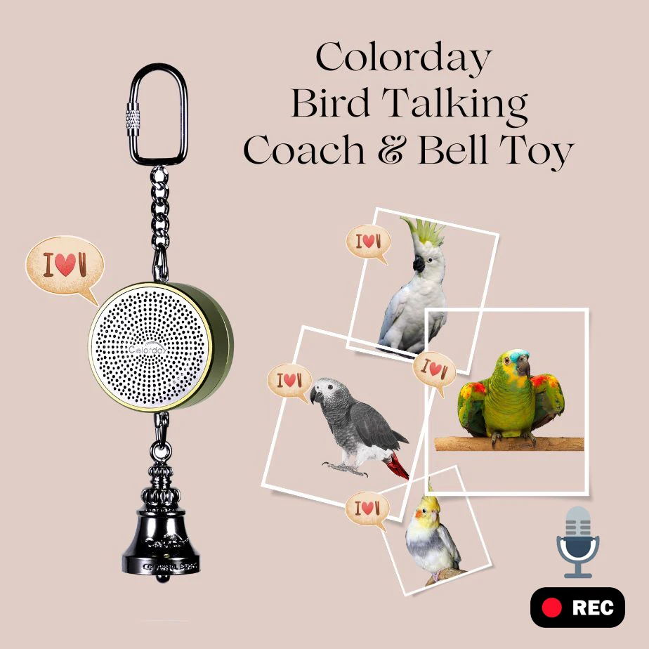 Parrot Toys to Teaching Training Bird Talking Coach Interactive Recording Playback Retell Electronic Voice Chewing Tearing  Bell