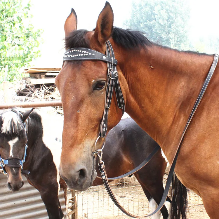 

Adjustable Cowhide Horse Chew Set for Cattle Sheep Custom PVC Bridle Harness for Equestrian Riding Racing Breathable Neck 2