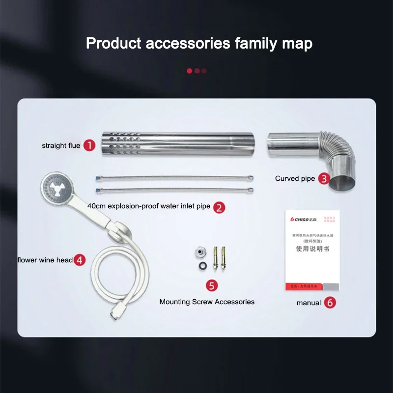 220v Gas Water Heater 12 Liters Constant Temperature Natural /Liquefied Gas Strong Exhaust Balanced Z