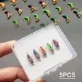 5Pieces(Box)