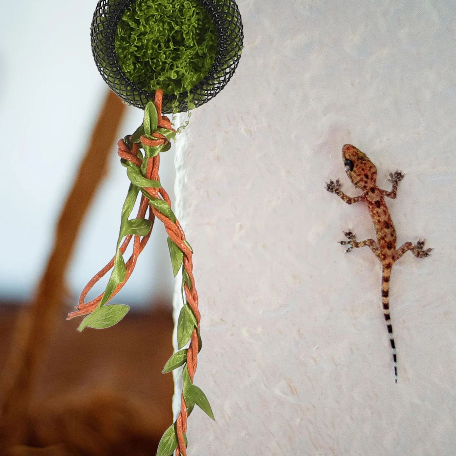 

Mini Jumping Spider Shelter Arboreal Climbing Enclosure Natural Habitat Hide Box Terrarium Decorative Spider Hideout Nest