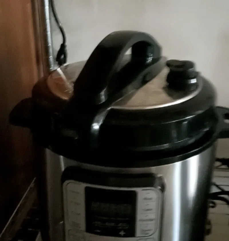 6L Electric Pressure Cooker, 110V US UK EU Plug, Household Smart Automatic Pressure Rice Cooker