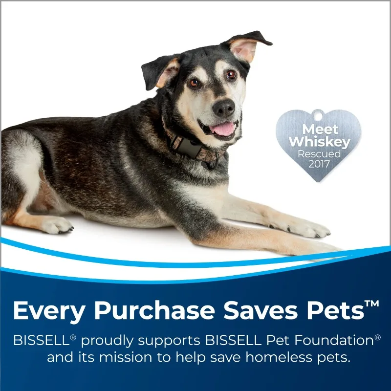 BISSELL Powerforce Powerbrush Pet Lightweight Carpet Cleaner, 2910