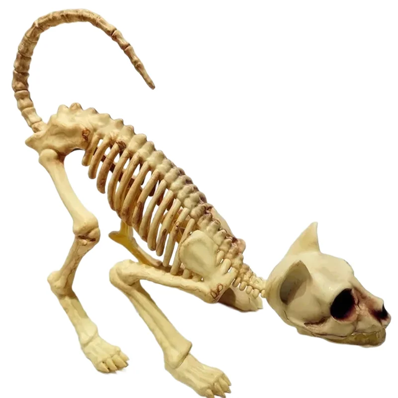 

AINY-Creepy Animal Halloween Decoration Crouching Cat Skull Model For Party Trick