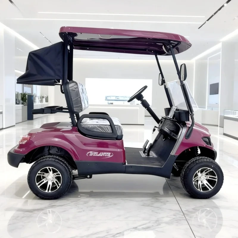 new Dylante Factory Mini Electric Golf Cart 4 2 Seat Off Road Club Course Hunting Cart Street Legal 72V Lithium Battery