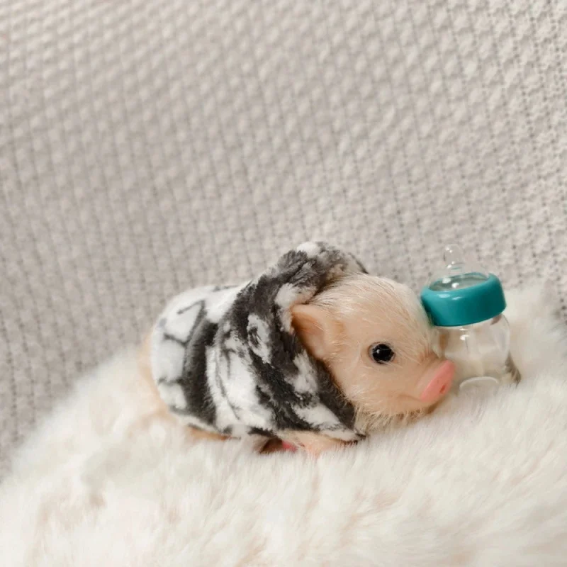 5 Inch Silicone Piglet Soft Cute Mini Realistic Animals with Accessories Lifelike Reborn Newborn Pig Doll Decompression Toy Gift