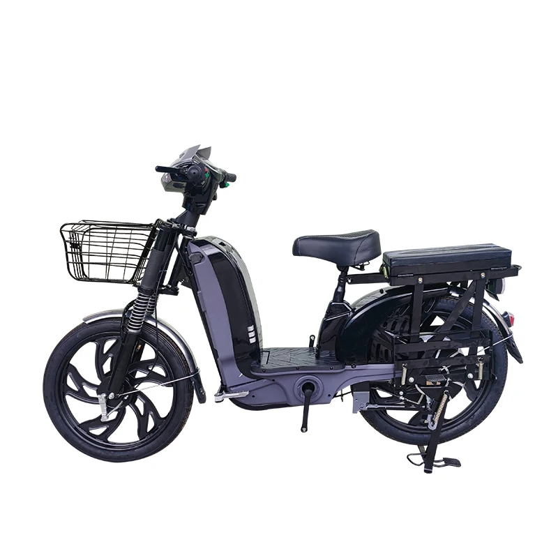 Manufacturer,OEM,22 Inch Heavy Type Delivery Electric Bicycle Household E-bike 800W Lithium Battery  Cargo Electric Bike,Rider