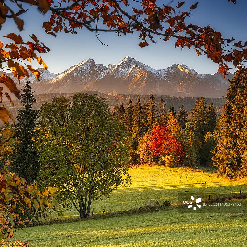 GAONENG GNB 3S2P 11.1V 6000mAh 100C lithiumbatterij met XT30-stekker, geschikt voor FPV-drones, quadcopters en afstandsbedieningsauto's