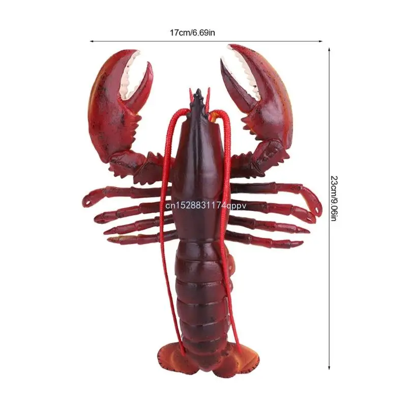 jouets figurines homard en PVC souple polyvalent, avec des designs réalistes, portables à des fins éducatives,