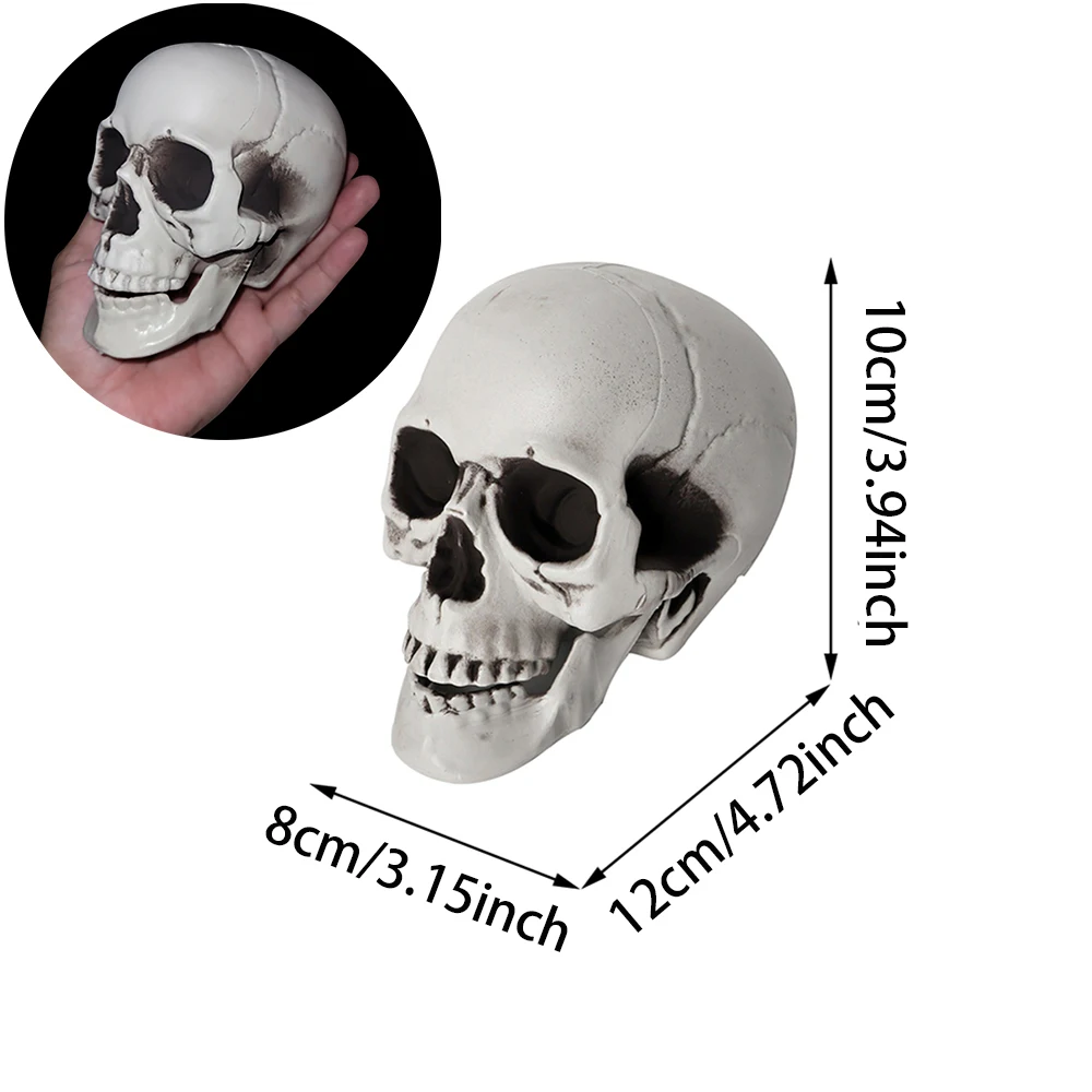 Halloween-Schädel-Dekoration, realistischer Kunststoff-Schädel, Kopfskelett, Halloween-Party, Haushof-Dekoration, Spukhaus-Horror-Requisiten