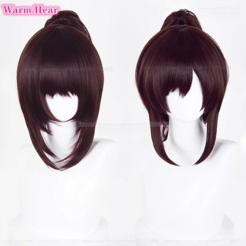 أنيمي ساشا براوس طويل 40 سنتيمتر بني داكن ذيل حصان تأثيري أنيمي شعر مستعار مقاومة للحرارة الاصطناعية الشعر هالوين شعر مستعار للحفلات + غطاء شعر مستعار #2