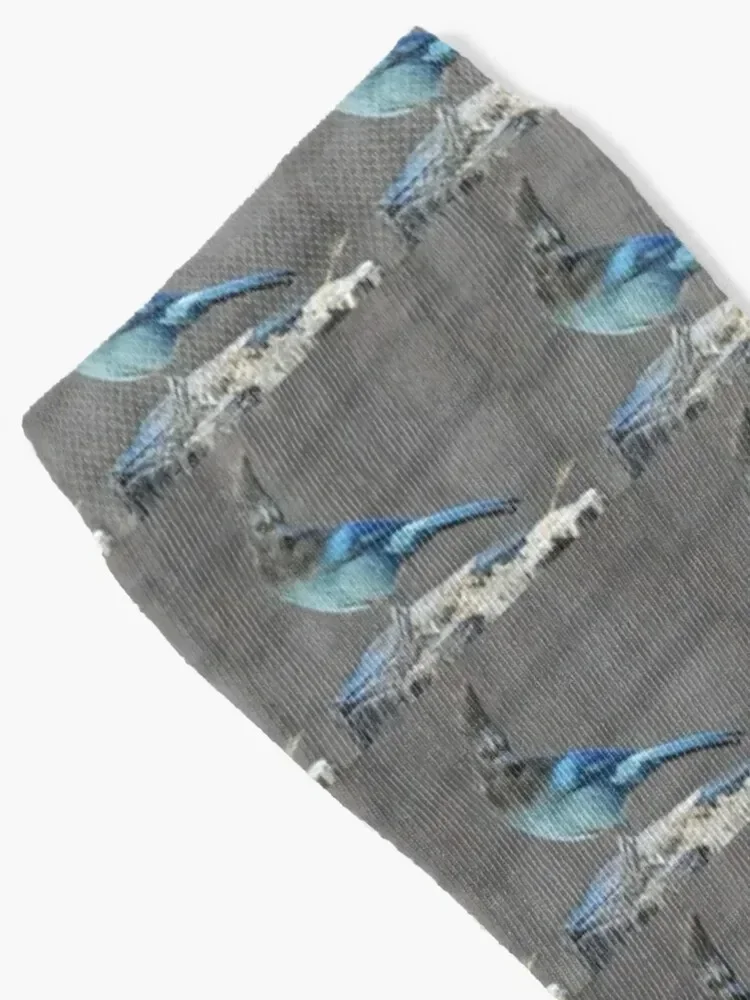 Wild birds, Stellar's Jay, wildlife, blue jay Socks bright garter Run sports stockings Luxury Woman Socks Men's