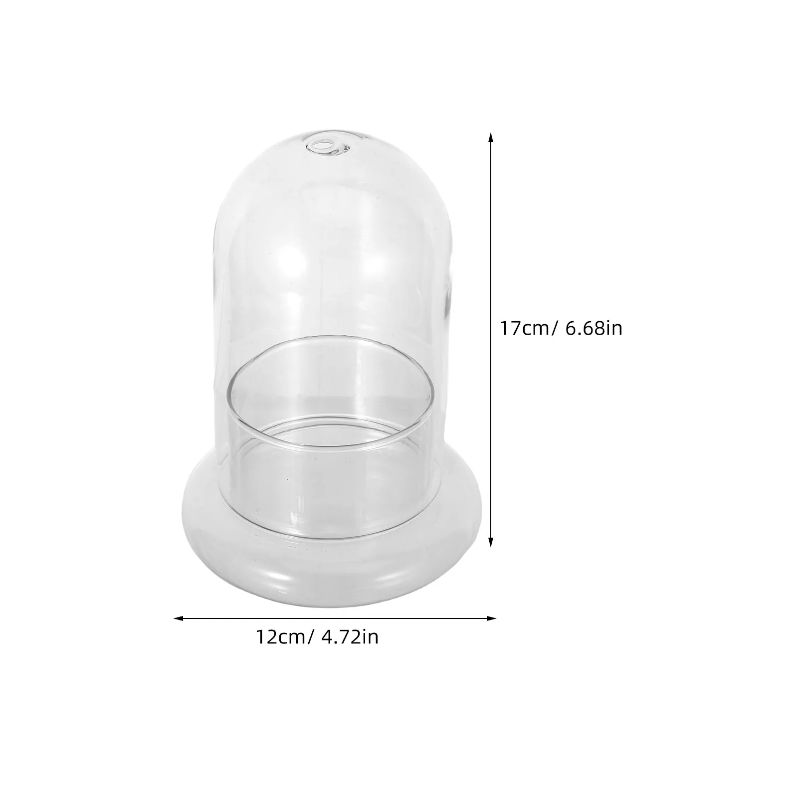2Pcs Glass Landscape Bottle Terrarium Jar for Micro Landscaping Moss Decoration High Quality Borosilicate