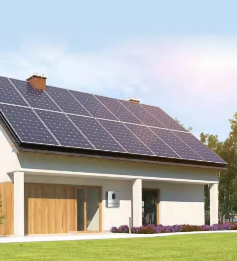 Stable Output Residential Hybrid Solar Inverter Pure Sine Wave High Conversion Rate No Battery Operation Lithium BMS Function