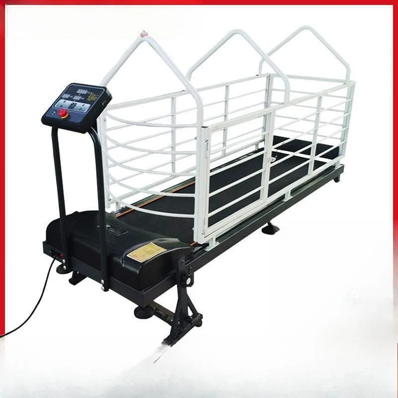 Dog electric treadmill, pet dog treadmill