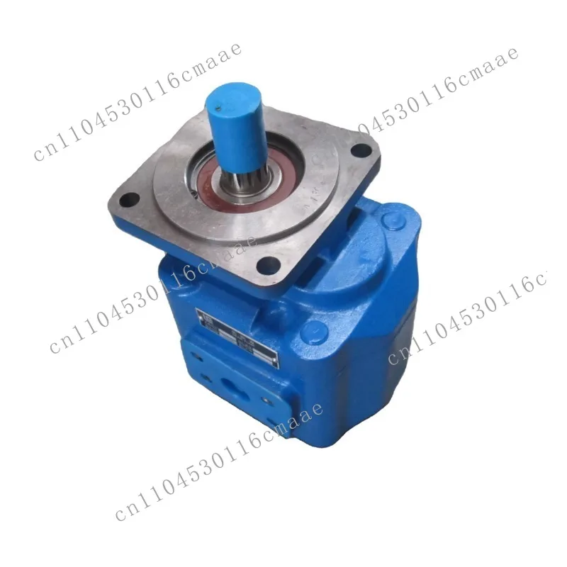 Loaders/Hydraulics	Pump	11C0007P02	gear Pump	100250