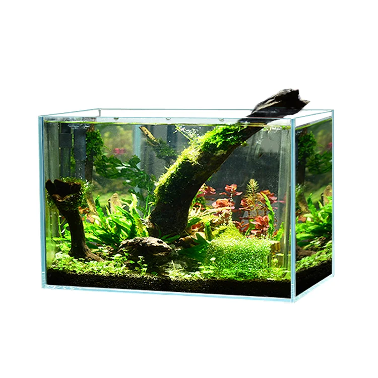 Wholesale 5L environmentally friendly ultra-transparent aquarium with beautiful design USB charging glass for home use