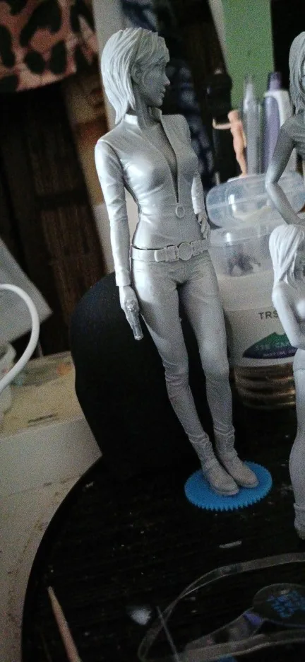 Buyer photo of this resin kit