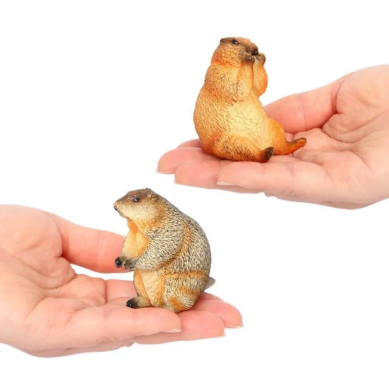 Simulasi lintas batas model plastik satwa liar padat groundhog marmot tupai ornamen mainan kognitif anak-anak