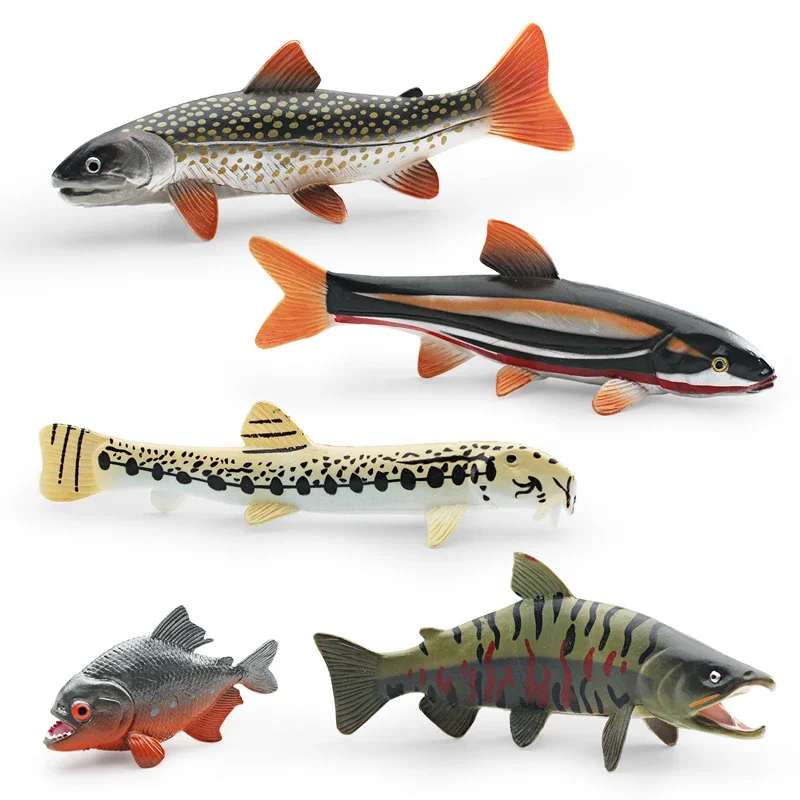 Giocattolo animale realistico Modello di pesce Chum Salmone Grande pesce Maha Figura in PVC Figurina Decorazioni per la casa/ufficio Raccogliere il giocattolo Educazione precoce