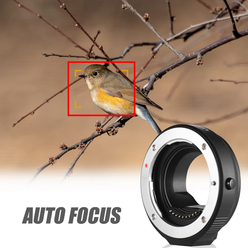 FOTGA OEM4/3(AF) 4/3 to M4/3 Camera Adapter Ring Auto Focus Lens Mount for Olympus 4/3 Mount Lens to Olympus M4/3 Mount