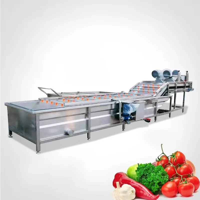 Customized Industrial Air Bubble Fruit Lettuce Washer Salad Vegetable Washing Machine for Vegetables