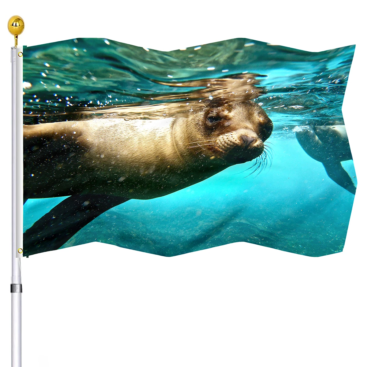 

Cute Sea Lion Flag Ocean Water Wildlife Seal Double Stitched Animal Flags with Brass Grommets Indoor Porch Outdoor House Decor