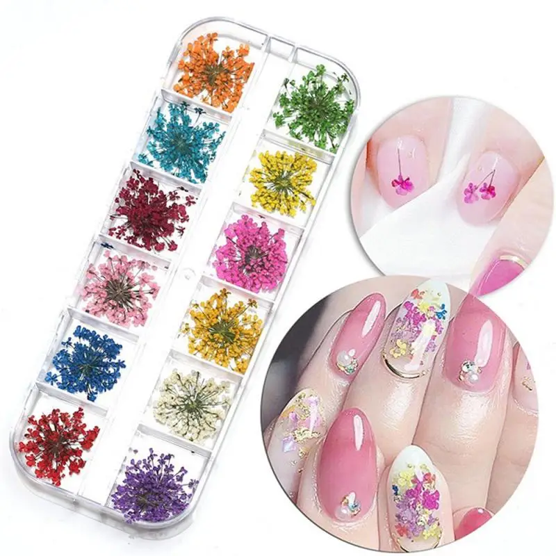 1-10pcs 12 Colors Dried Flowers For Nail Art Mini Real Natural Flowers 3D Applique Nail Decoration