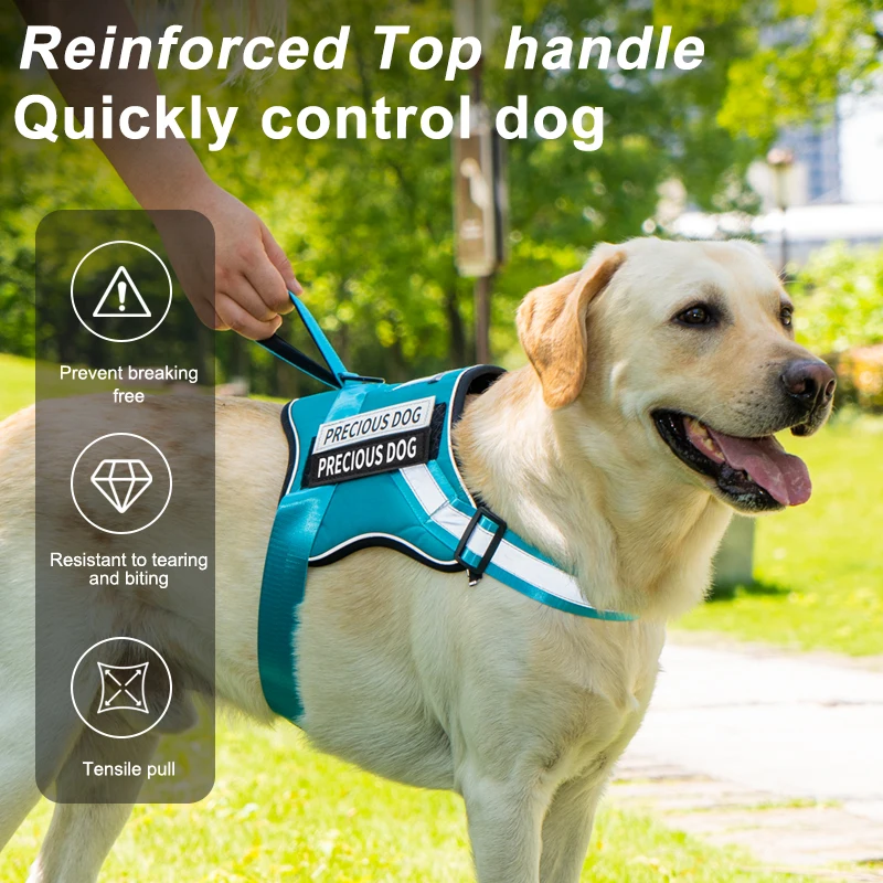 Thumbnail 3 - #74 Best Dog Car Safety Harnesses to Buy In 2026