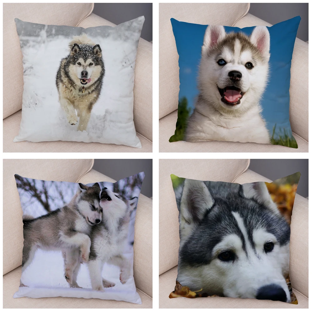 Decor Cute Siberian Husky Pillowcase Pet Dog Printed Super Soft Short Plush Pillow Case 45*45cm Animal Cushion Cover for Sofa images - 6