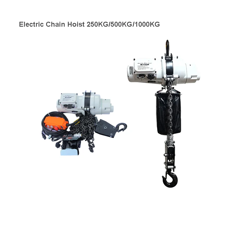 

Electric Chain Hoist 220V/110V Brushless 1000kg 3m Small Silent Double-Chain Hoist Small Crane Hoist For Boat/Warehouse