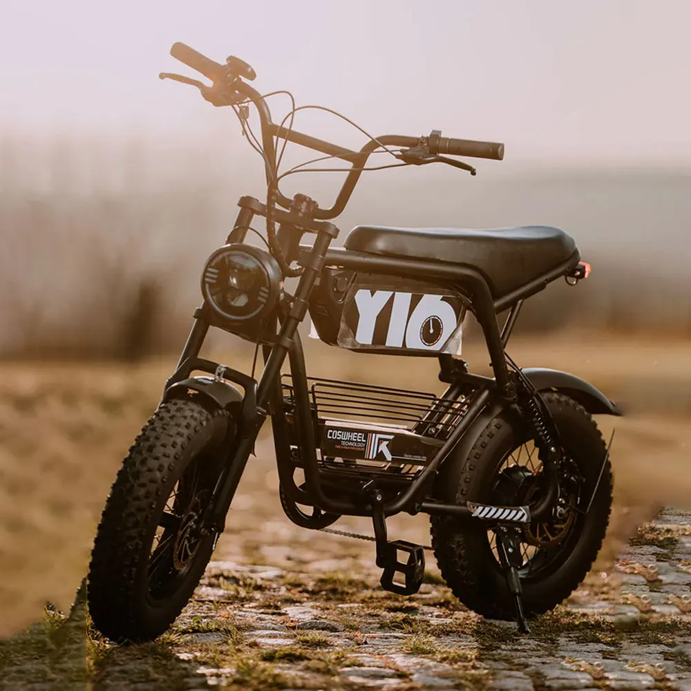 

Электровелосипед COSWHEEL Y16 1000W для взрослых, 50Нм, 45 км/ч, 16x4.0 дюймов, электрический горный велосипед