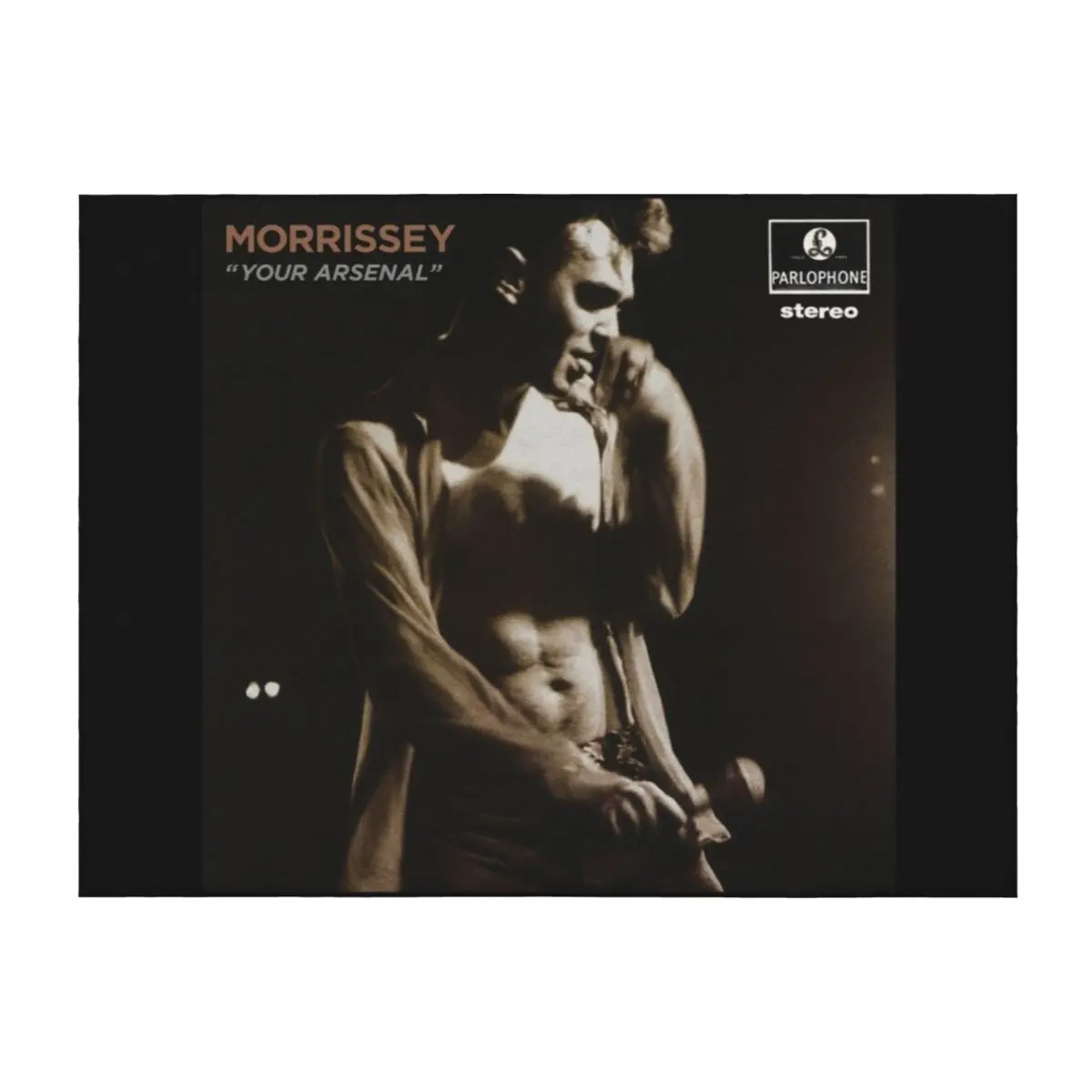 

Morrissey your arsenal Throw Blanket Summer Beddings Flannel for babies manga Blankets
