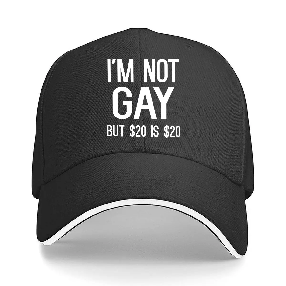 Gay Meme Repeat - Repeated “I’m Not Gay But $20 Is $20” humorous text Sandwich Baseball Cap