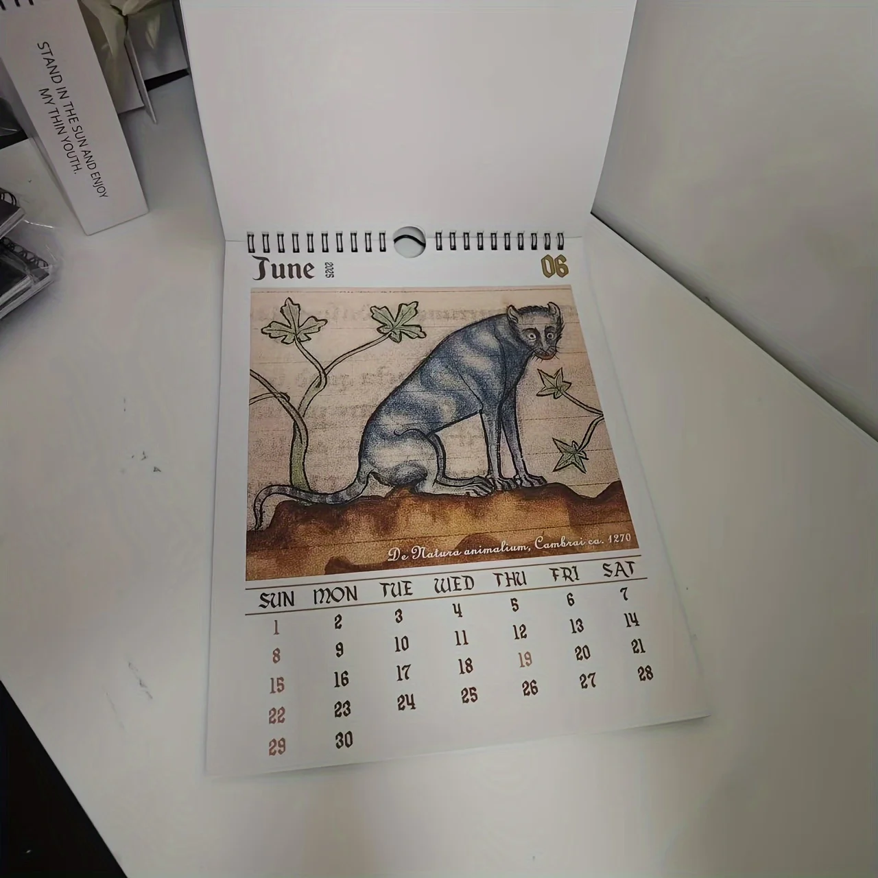 2025 Whimsical Medieval Cats Art Calendar - 12-Month Illustrated Desk Planner with Quirky Cat Drawings, Daily Office Supplies