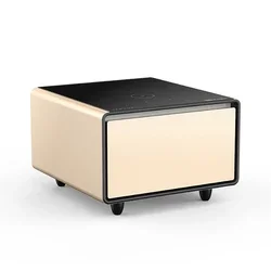 

TB65 Factory Price Furniture Speaker Mini Table Fridge Living Room Refrigerator Side Tables Primst Smart Coffee Table Modern