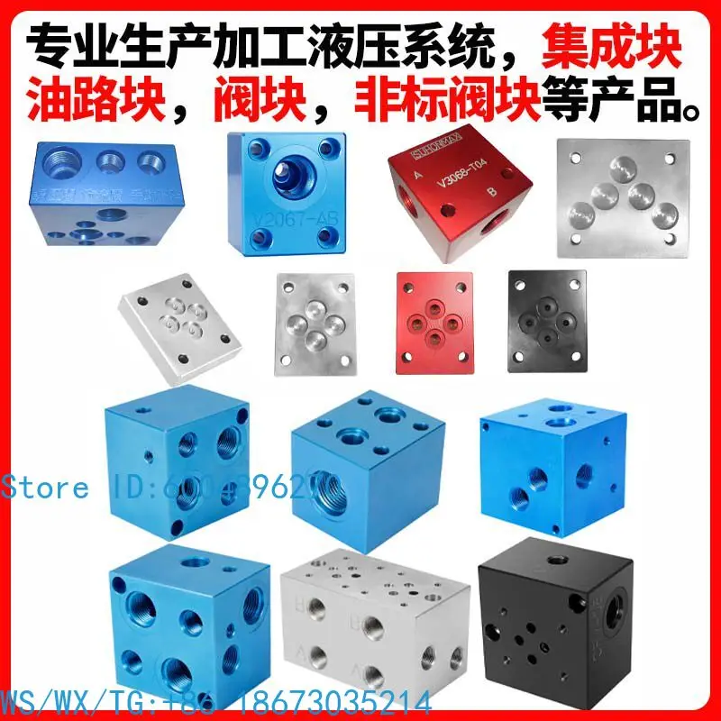 Hydraulic oil circuit block valve  02/03-1 W standard oil separation block processing integrated block hydraulic pressure