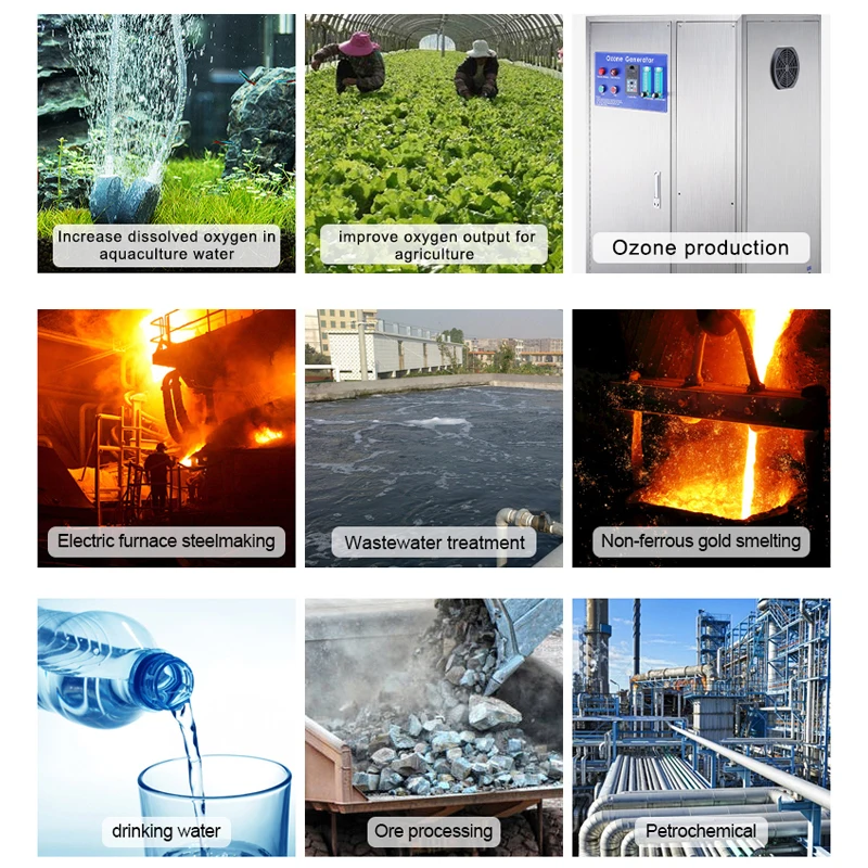 Accessoires de concentrateur d'oxygène PSA, Module de lit à tamis moléculaire 10L/min