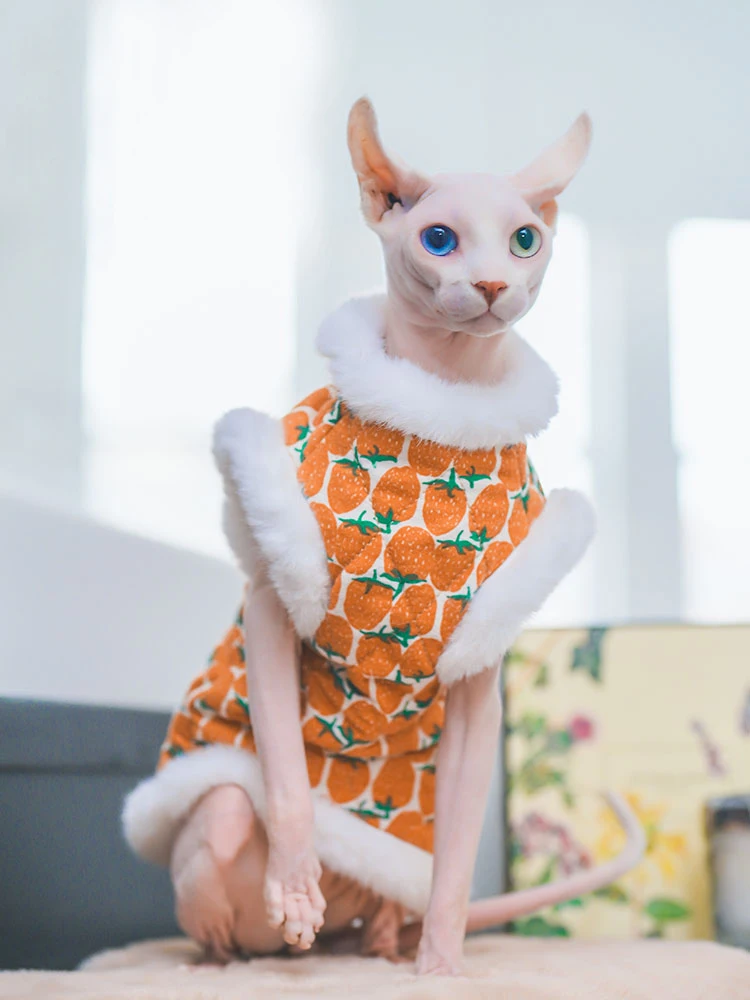 Soft Cotton Coat With Fur for Sphynx Cat Clothes Orange Sweatshirt for Kittens Sweet Costume Sleeves for Female Cats in Winter