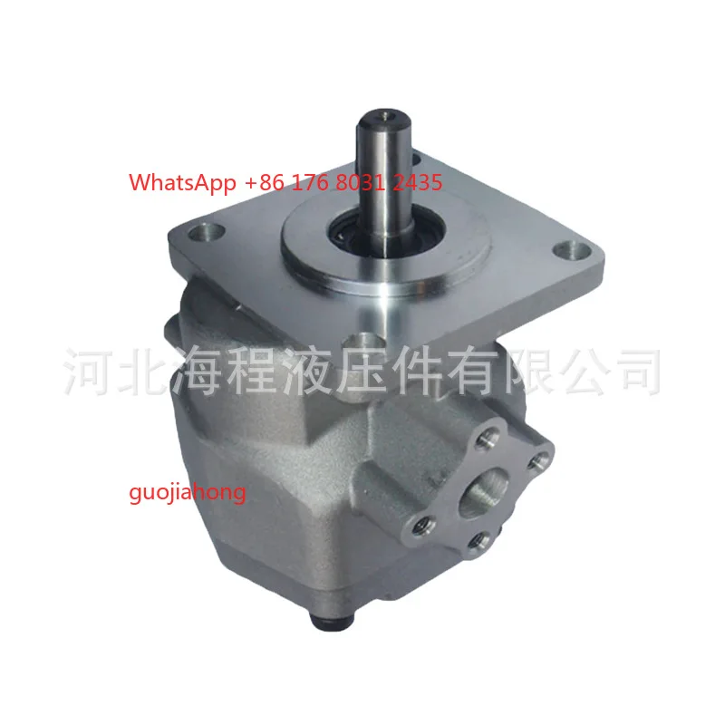 مضخة تروس GPY-F يابانية، ضوضاء منخفضة، إزاحة 2-11.5 #4